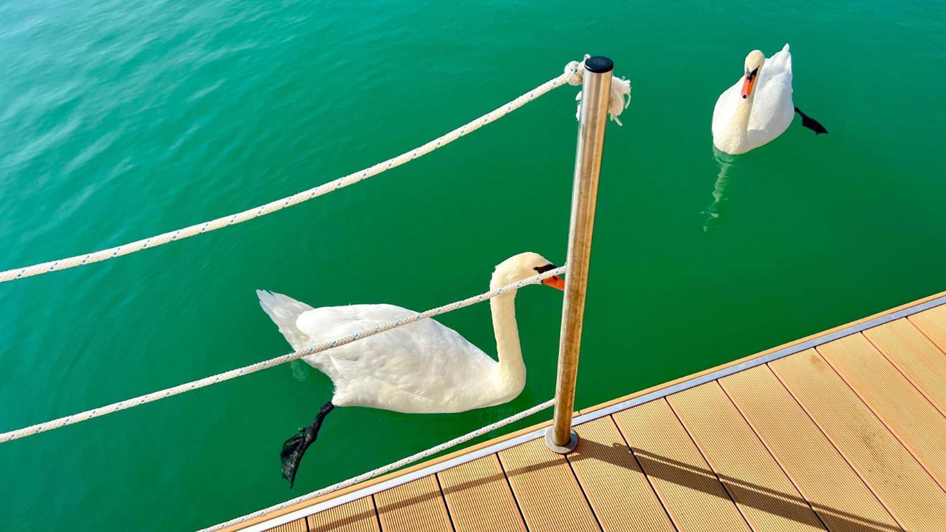 Marina Uno Floating Resort Lignano Sabbiadoro Room photo